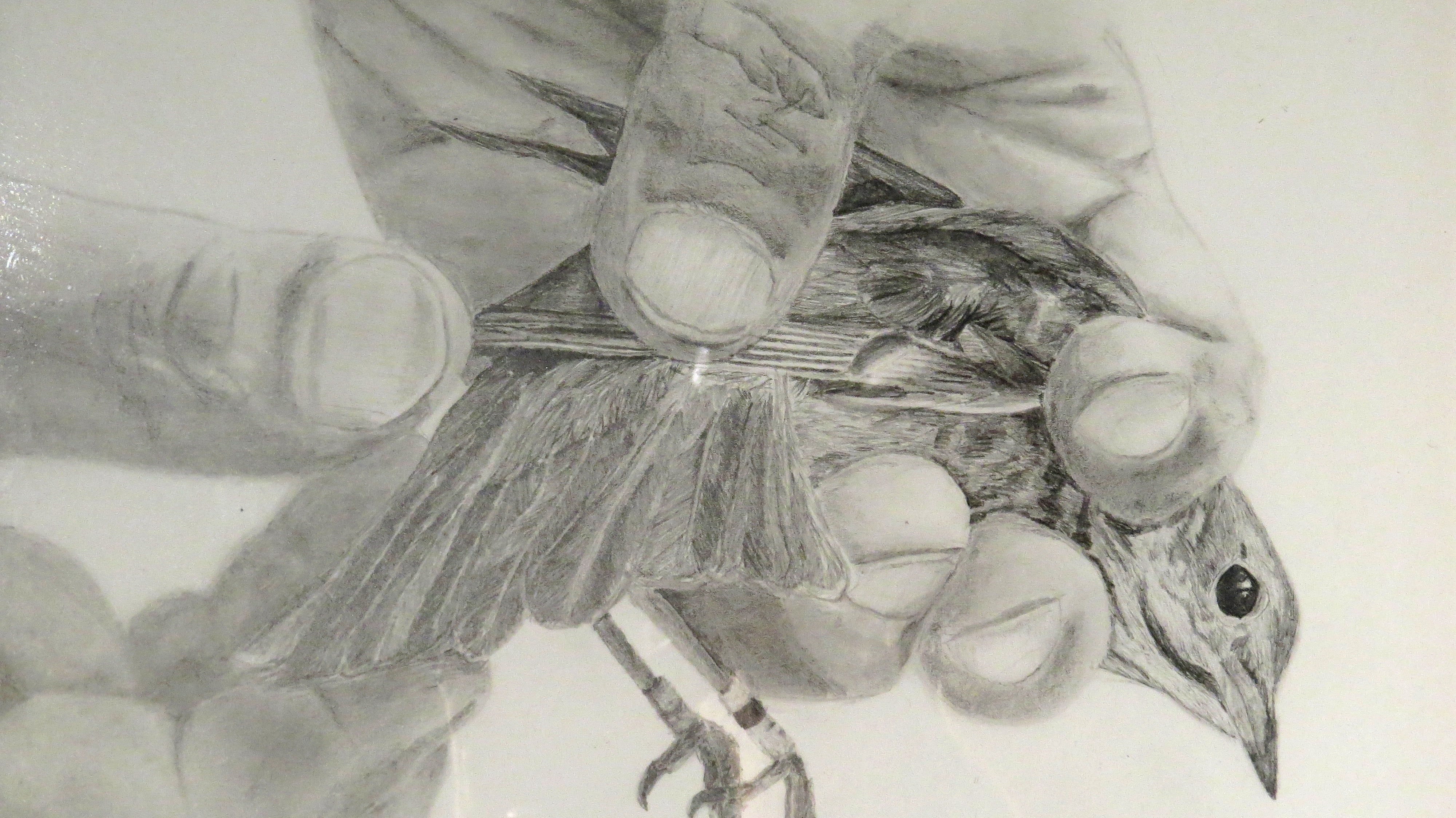 Working with future generations