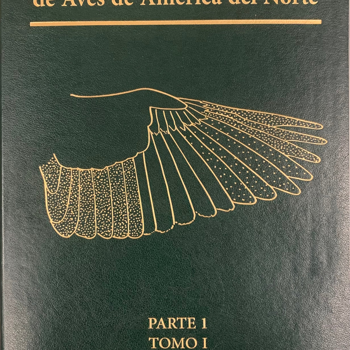 SPANISH EDITION - Identification Guide to North American Birds, Part I ...